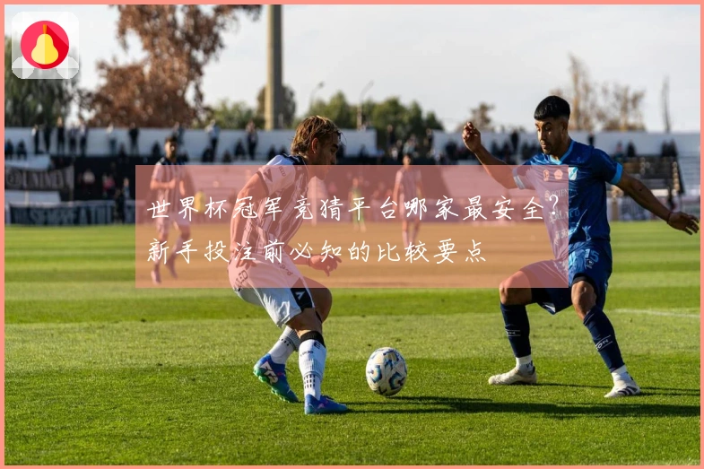 世界杯冠军竞猜平台哪家最安全？新手投注前必知的比较要点