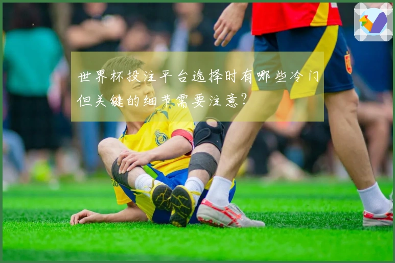 世界杯投注平台选择时有哪些冷门但关键的细节需要注意？