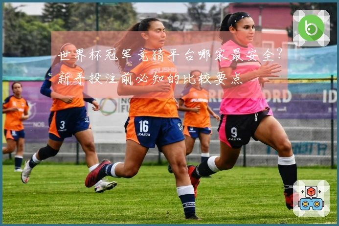 世界杯冠军竞猜平台哪家最安全？新手投注前必知的比较要点