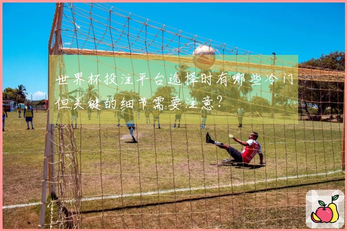 世界杯投注平台选择时有哪些冷门但关键的细节需要注意？