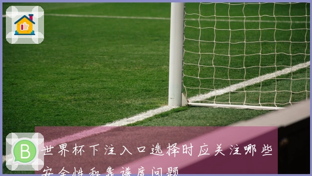 世界杯下注入口选择时应关注哪些安全性和靠谱度问题